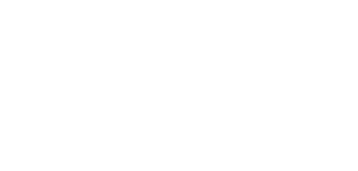 Strategic Simulations Inc.