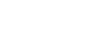 The Walt Disney Company