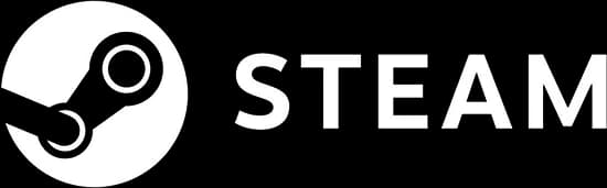 Steam